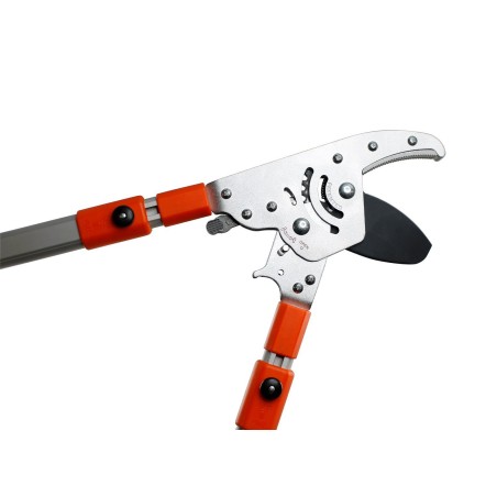 Coupe‑Branches Professionnel JUMBO – Cisaille à Crémaillère Ultra‑Puissante & Télescopique
