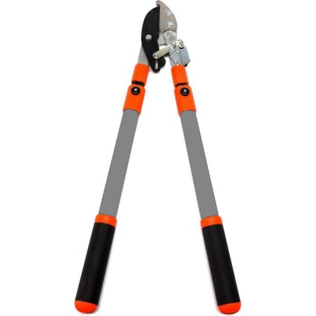 Cisaille Professionnelle à Crémaillère – Aluminium Renforcé, Manches Télescopiques à Crans