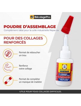 poudre d'assemblage reparex